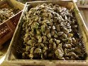 2017-09-26 17-15-07 Visite d'une ferme ostreicole MBo